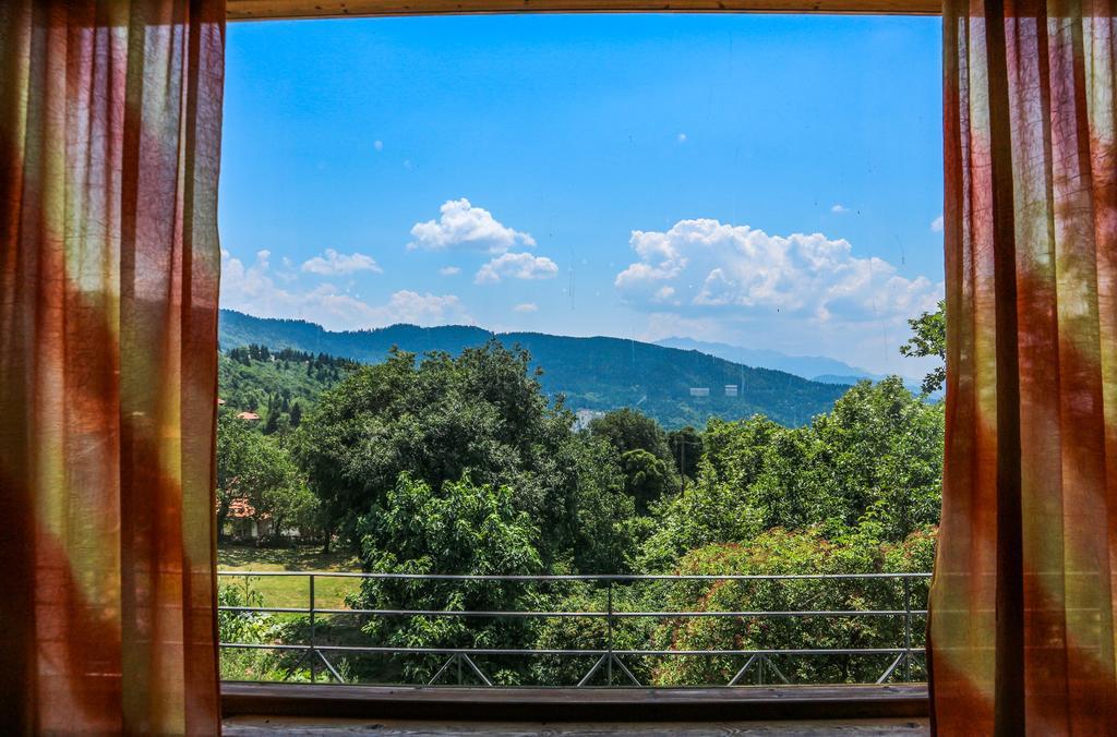 Hotel Elatofilito Athamanio Екстериор снимка