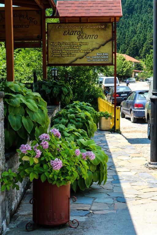 Hotel Elatofilito Athamanio Екстериор снимка