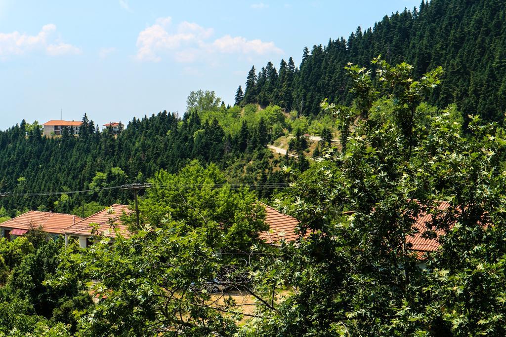 Hotel Elatofilito Athamanio Екстериор снимка