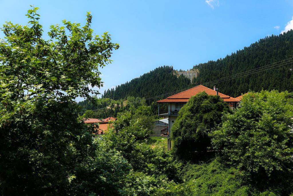 Hotel Elatofilito Athamanio Екстериор снимка